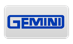 gemini_250
